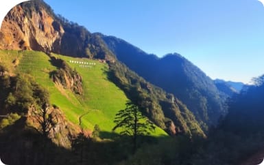 土地整治、生态修复与地灾防治、 自然yd2333云顶电子游戏置业