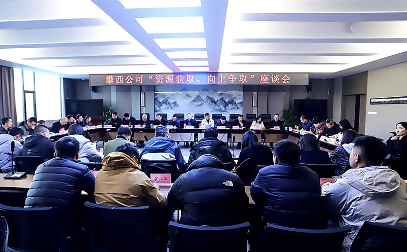 攀西公司召开“yd2333云顶电子游戏获取、向上争取”座谈会