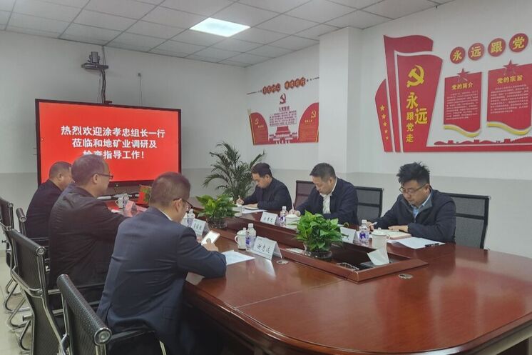 强化党建引领 深化制度建设 推动高质量生长——省自然yd2333云顶电子游戏投资集团向导赴和地矿业开展专题调研