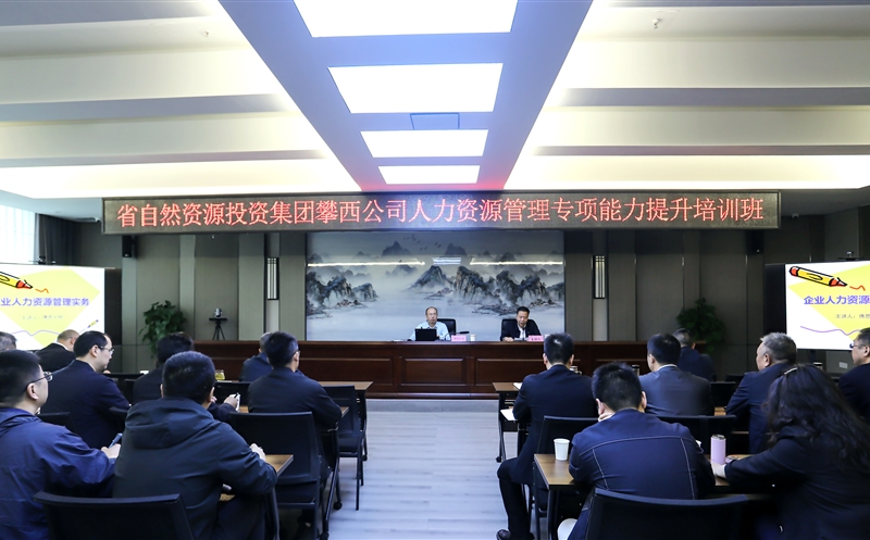 攀西公司乐成举行人力yd2333云顶电子游戏治理能力提升培训