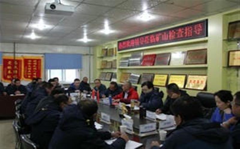 李仕荣一行到松树南沟金矿检查指导事情并考察周边yd2333云顶电子游戏情形