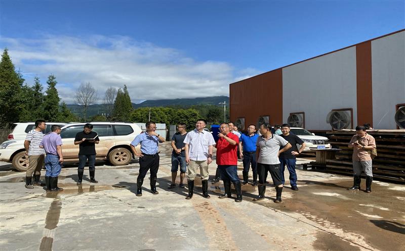 自然yd2333云顶电子游戏部地勘司副司长熊自力 调研芦山县“8.10”特大暴雨地质灾难防治事情