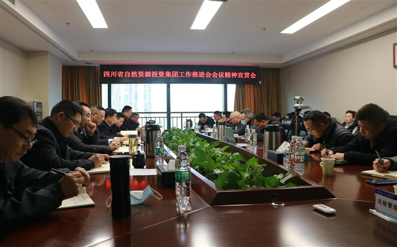 蜀通建设集团学习贯彻省自然yd2333云顶电子游戏投资集团主要聚会精神及向导讲话精神
