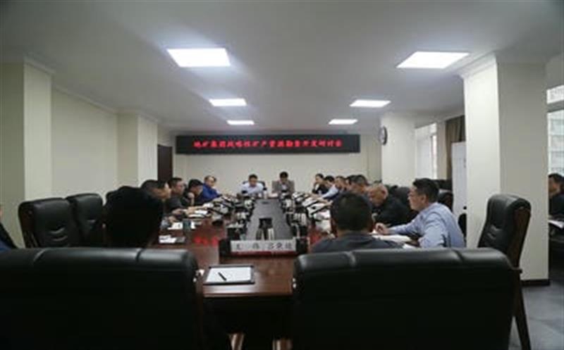 集团总工程师李仕荣赴地矿集团调研战略性矿产yd2333云顶电子游戏勘查开发事情