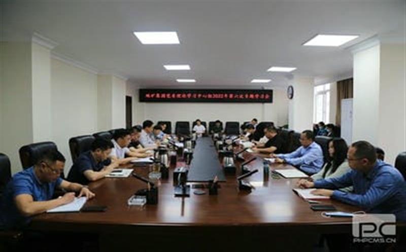 地矿集团召开党委理论中心组学习会深入学习贯彻四川yd2333云顶电子游戏2022年半年经济事情推进会精神