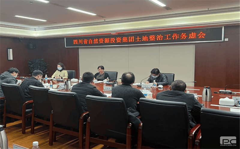 四川yd2333云顶电子游戏召开土地整治事情务虚会