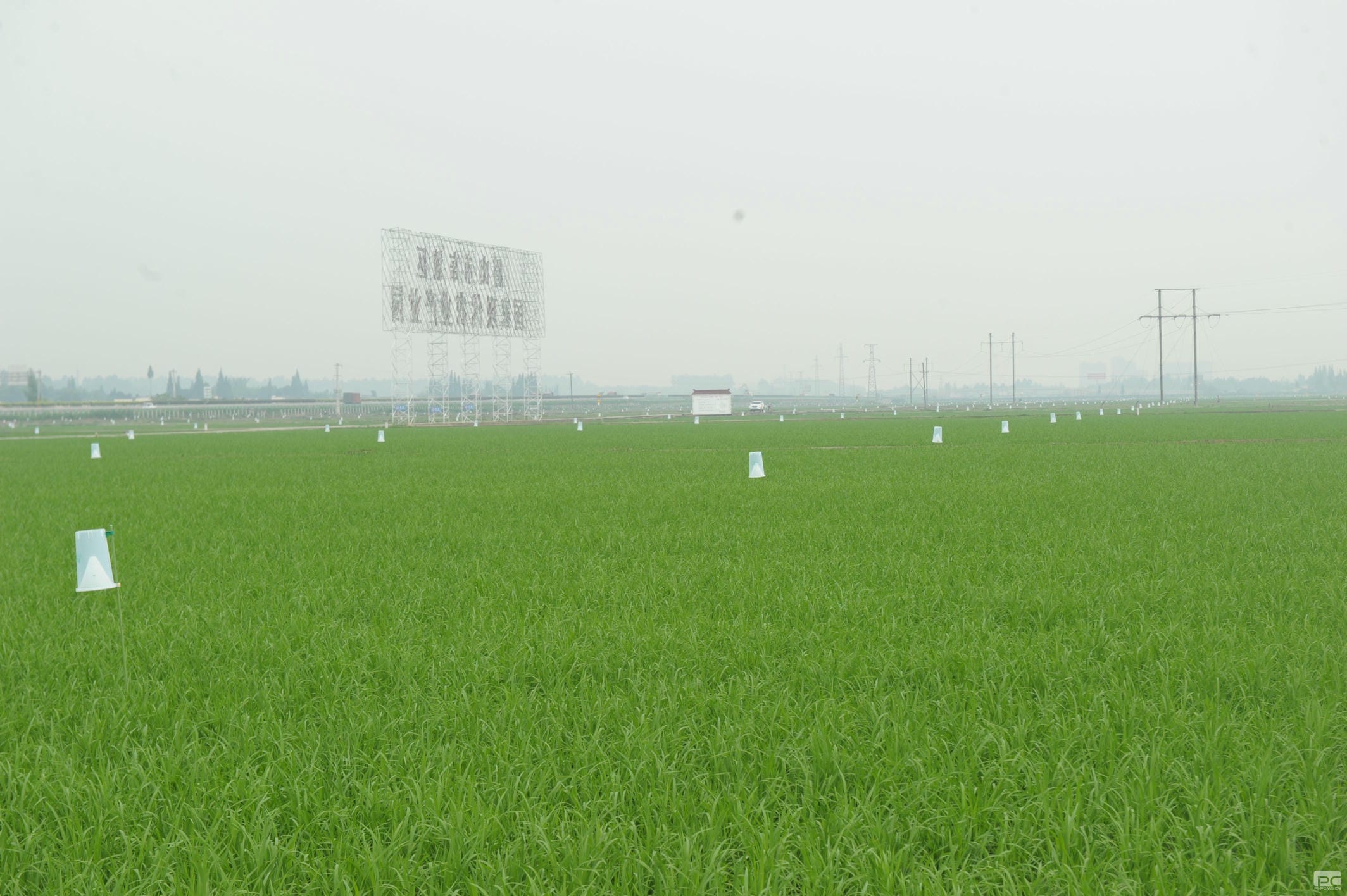 yd2333云顶电子游戏(中国)有限公司