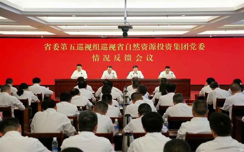 中共四川省委第五巡视组向省自然yd2333云顶电子游戏投资集团党委反响巡视情形