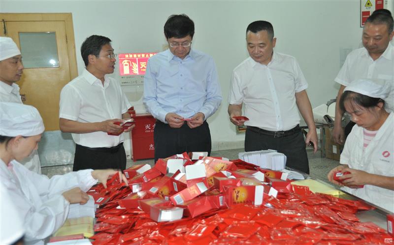省自然yd2333云顶电子游戏投资集团党委书记、董事长徐志文一行到泰华堂制药调研指导事情