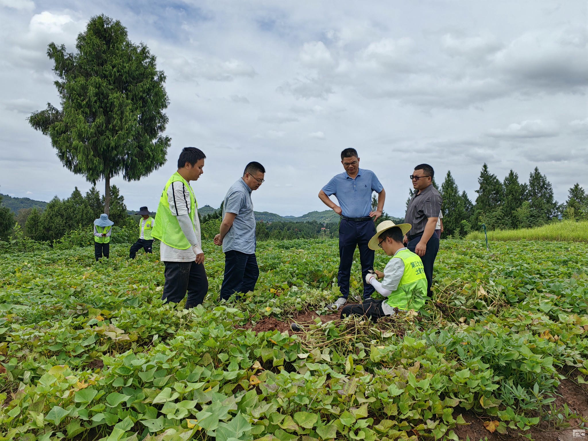 yd2333云顶电子游戏(中国)有限公司