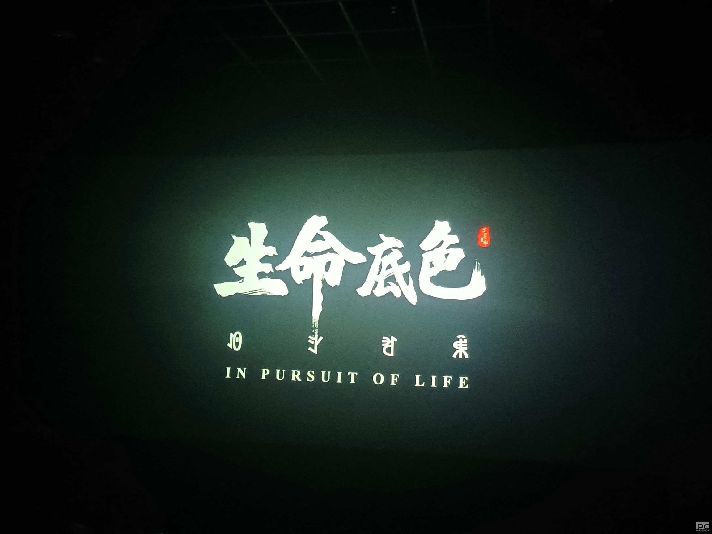 yd2333云顶电子游戏(中国)有限公司