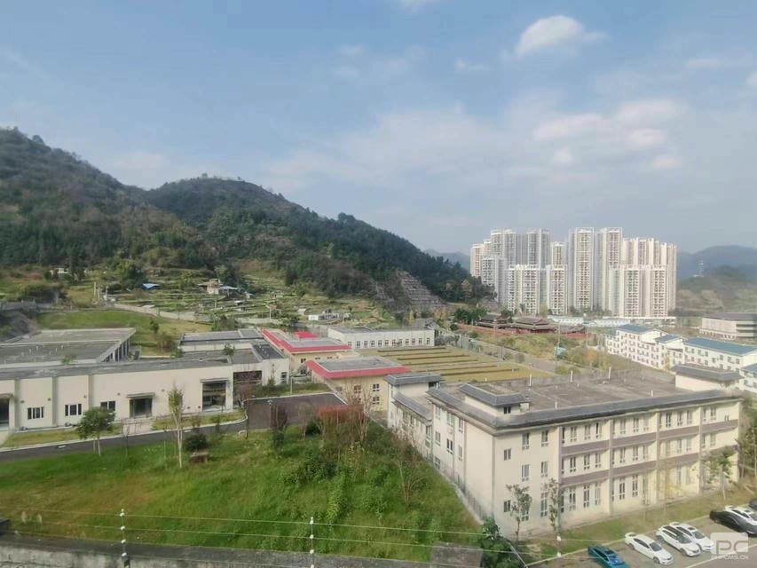 yd2333云顶电子游戏(中国)有限公司