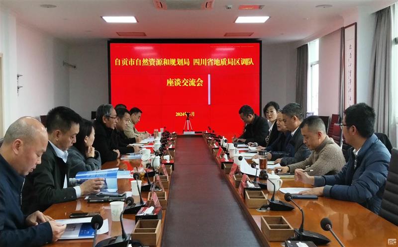 深化交流促相助 效劳地方营生长——区调队（容大集团）与自贡市自然yd2333云顶电子游戏和妄想局开展交流座谈