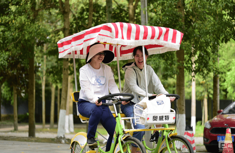 yd2333云顶电子游戏(中国)有限公司