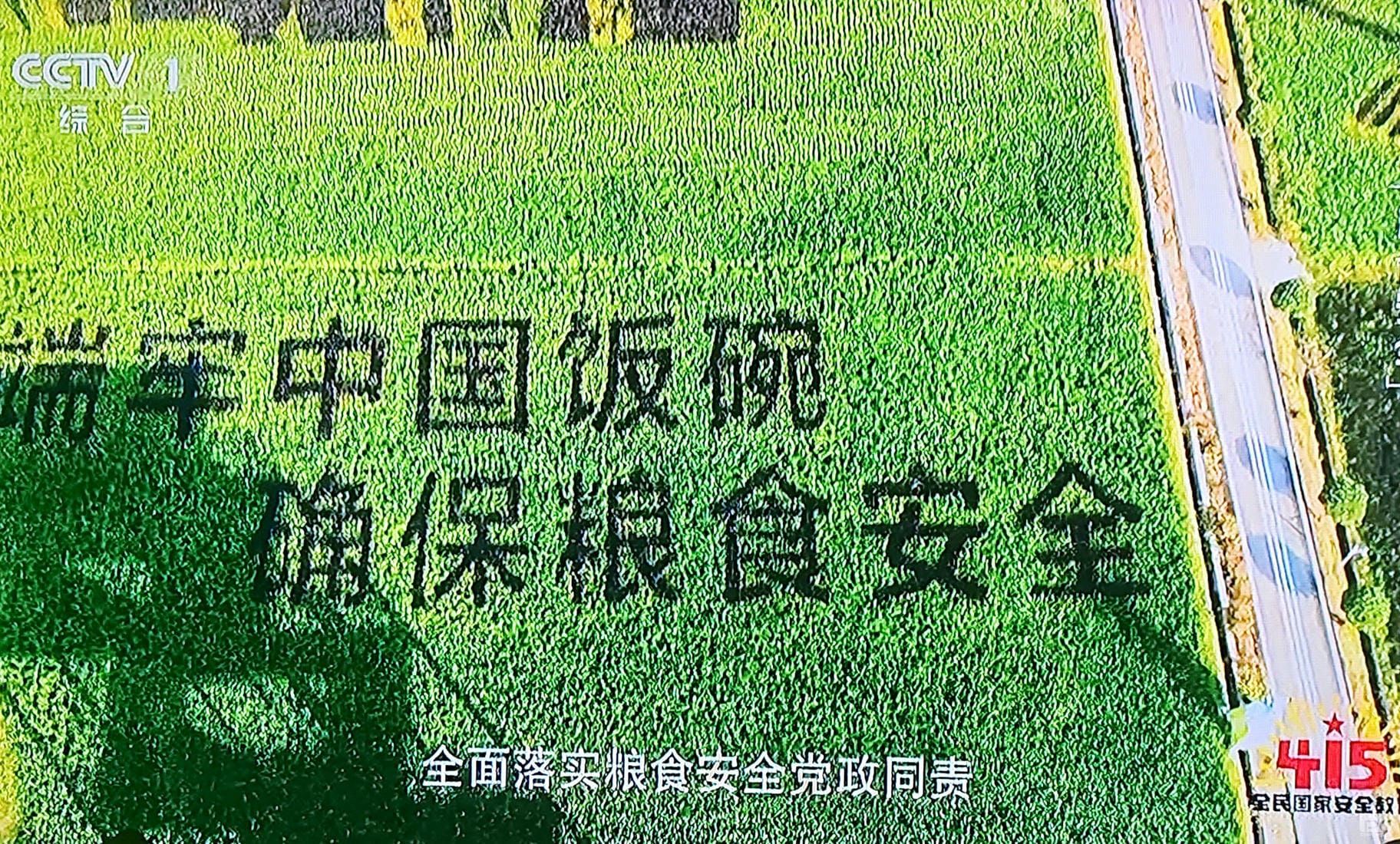 yd2333云顶电子游戏(中国)有限公司
