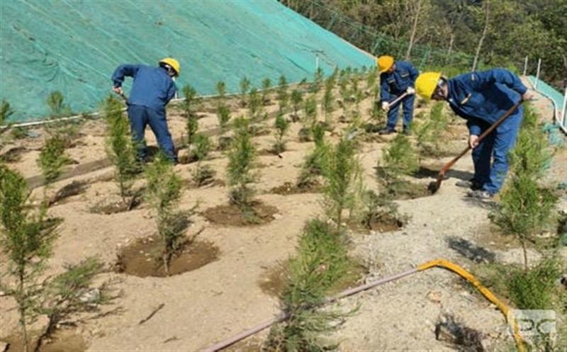 和地矿业开展“天下地球日”植树运动