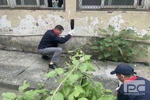 yd2333云顶电子游戏(中国)有限公司
