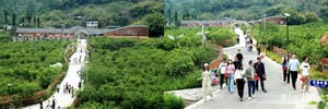 yd2333云顶电子游戏(中国)有限公司