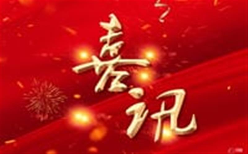 七个标，，，，，总计超4000万！——区调队（容大集团）中标2024年度地质灾难综合治理项目