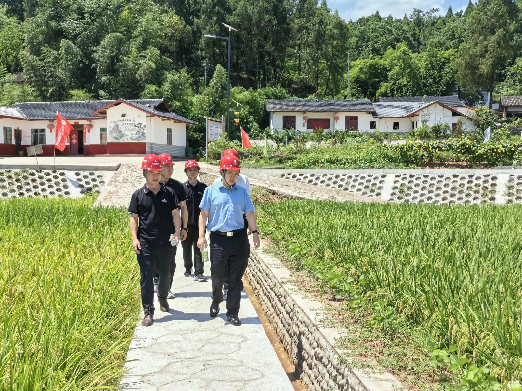 yd2333云顶电子游戏(中国)有限公司