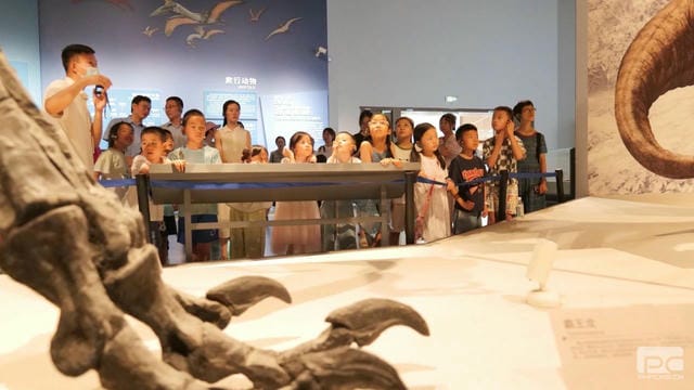 yd2333云顶电子游戏(中国)有限公司