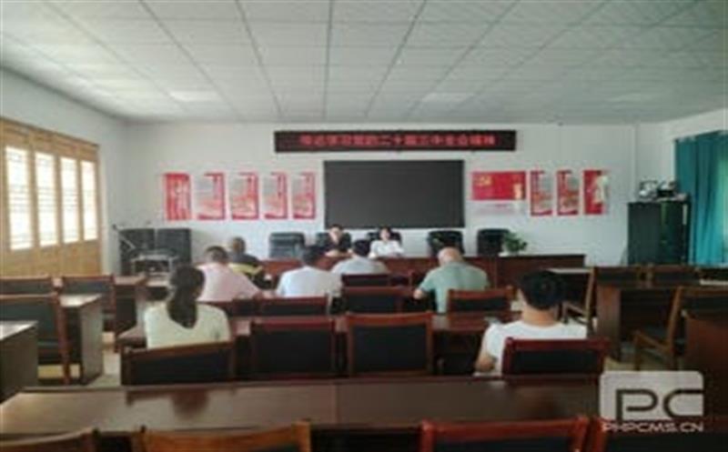 学习党的二十届三中全会精神，，，，，华锋钻探助力墟落振兴新征程