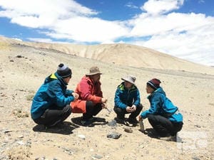 yd2333云顶电子游戏(中国)有限公司
