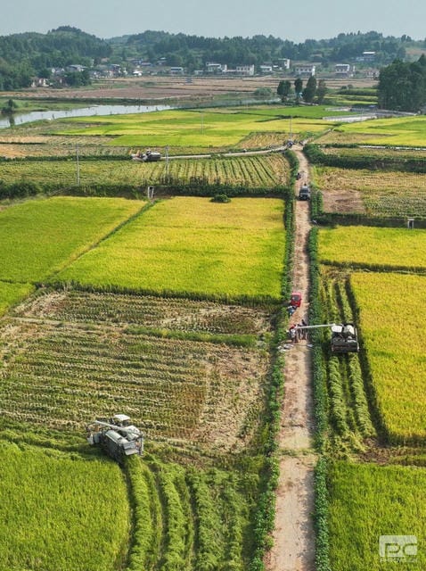 yd2333云顶电子游戏(中国)有限公司