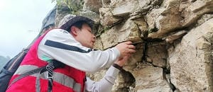 yd2333云顶电子游戏(中国)有限公司
