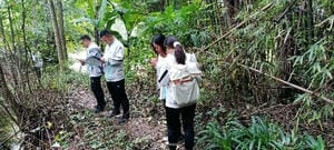 yd2333云顶电子游戏(中国)有限公司