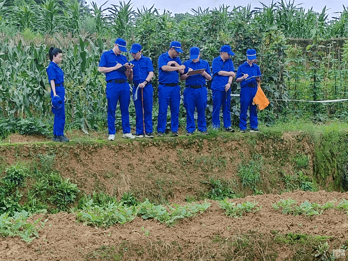 yd2333云顶电子游戏(中国)有限公司