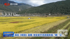yd2333云顶电子游戏(中国)有限公司