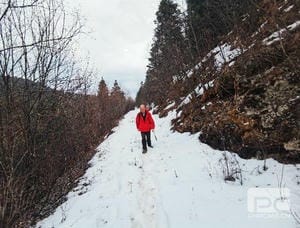 yd2333云顶电子游戏(中国)有限公司