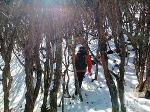 yd2333云顶电子游戏(中国)有限公司