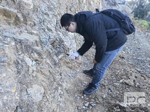 yd2333云顶电子游戏(中国)有限公司