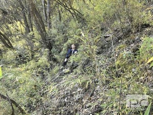 yd2333云顶电子游戏(中国)有限公司